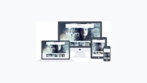 MyThemeShop Emaxstore WordPress Theme