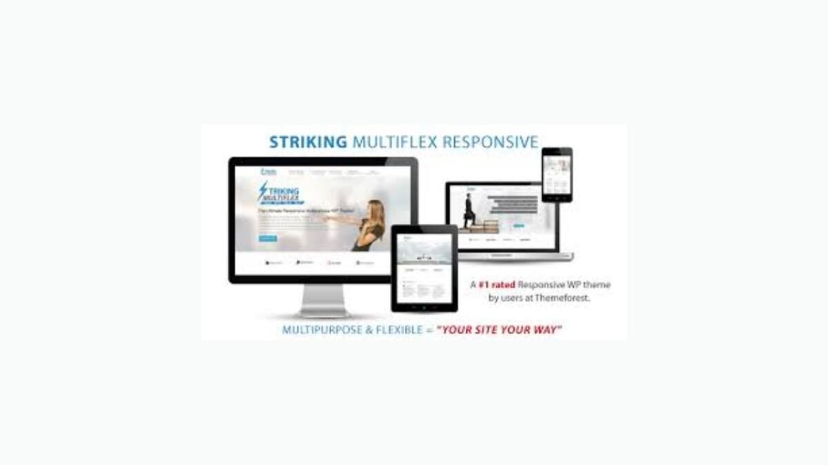 Striking MultiFlex & Ecommerce Responsive WP Theme - Image 1